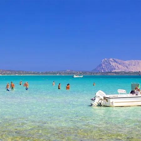 Paradiso *
